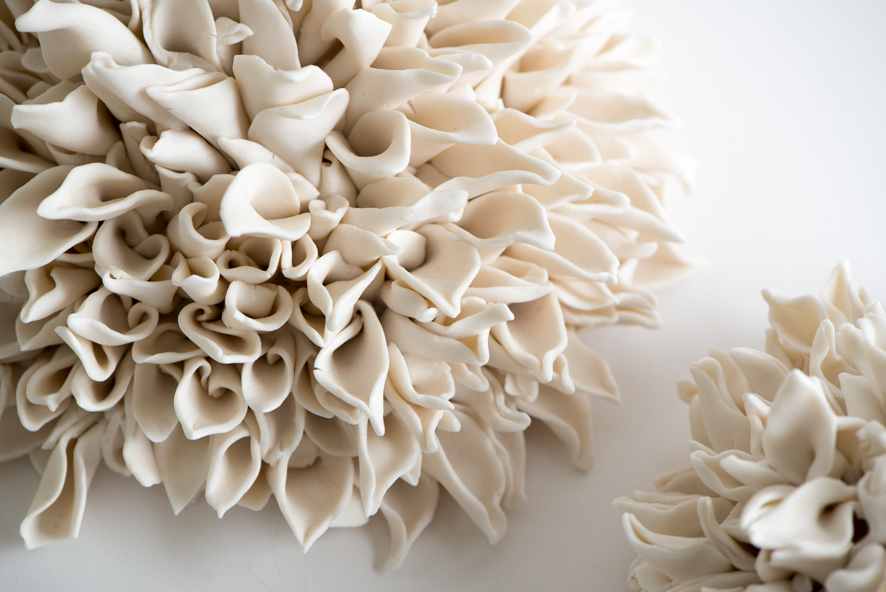 Glorious Clay
