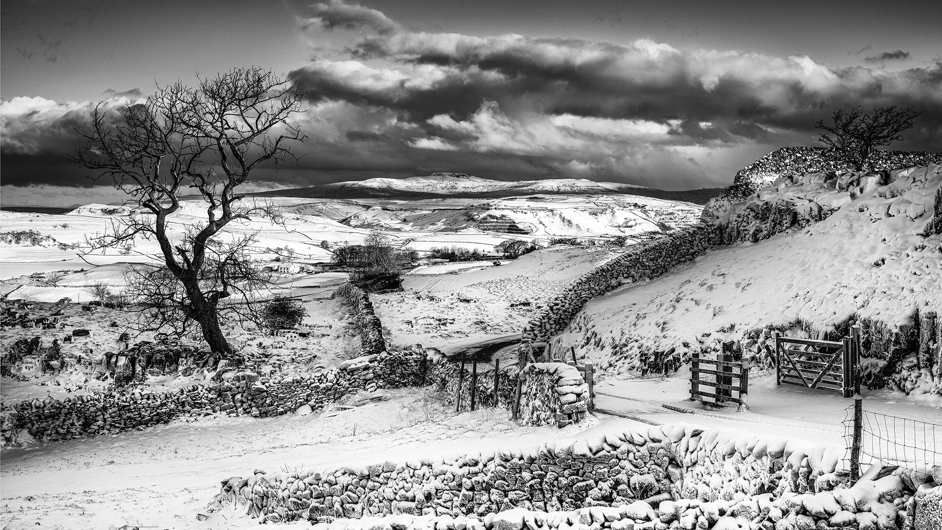 Chorley Photographic Society
