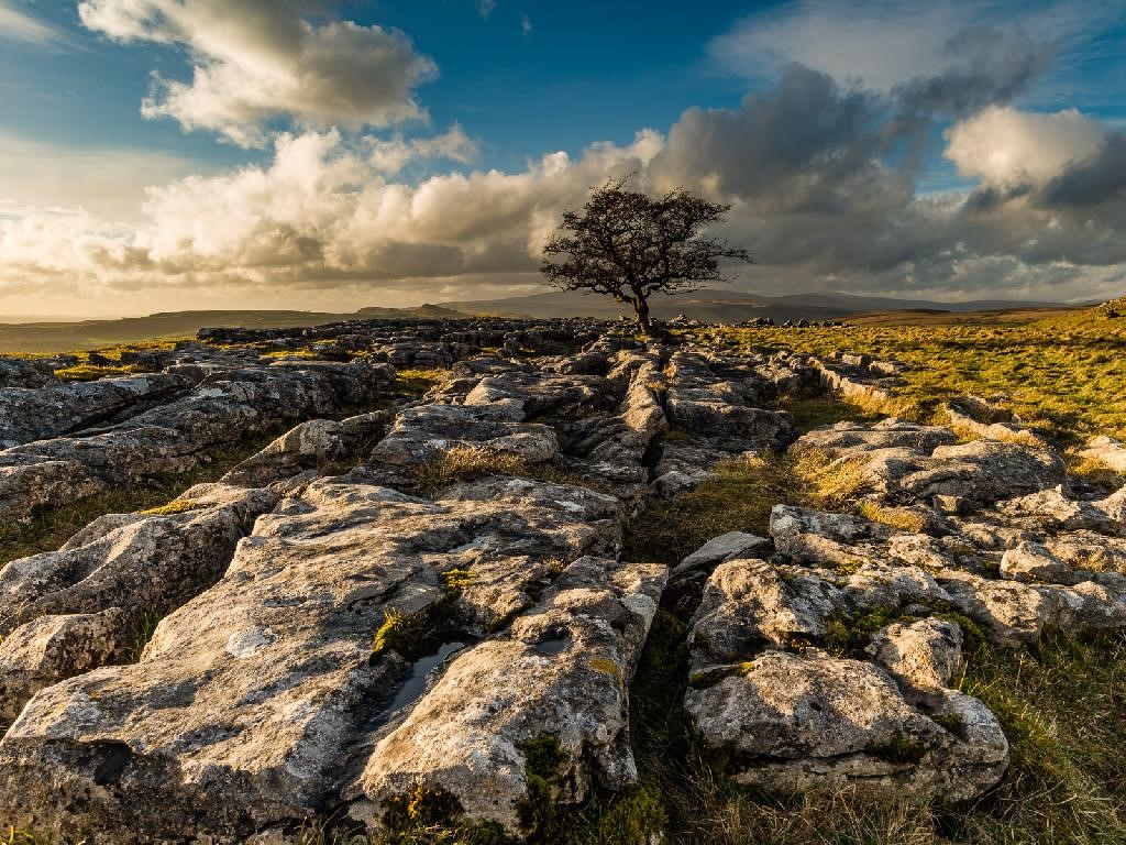 Chorley Photographic Exhibition image