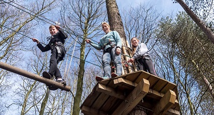 Go Ape